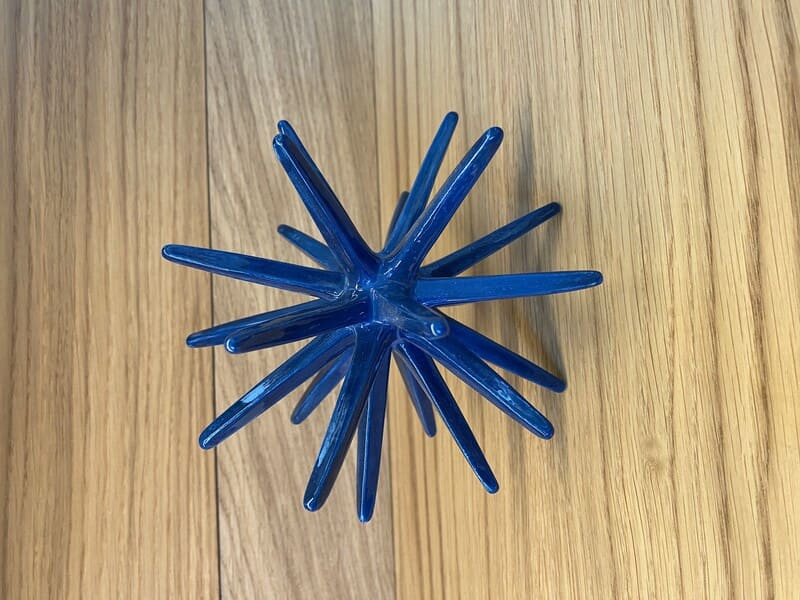 Oursin Bleu grand