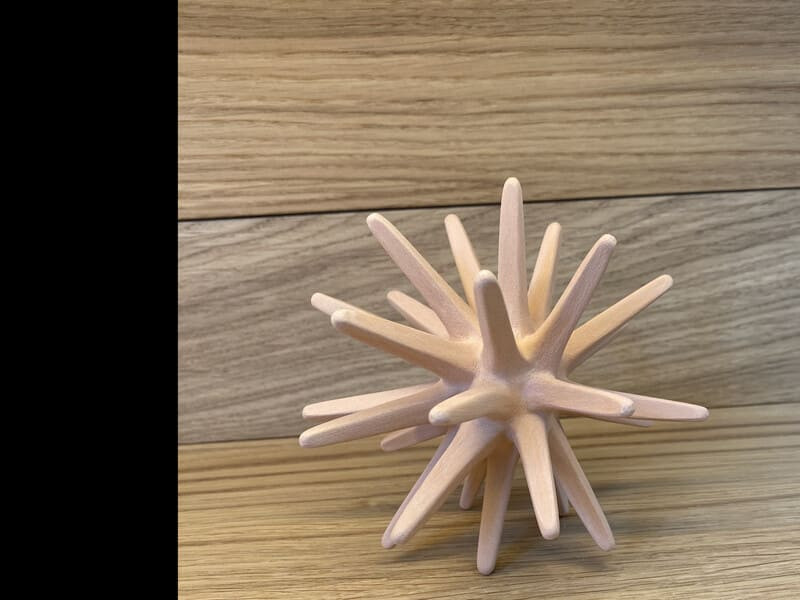 Oursin de couleur terracotta clair avec des piques. Posé sur un fond en bois qui fait ressortir sa couleur. En référence au corail de la mer méditerranée