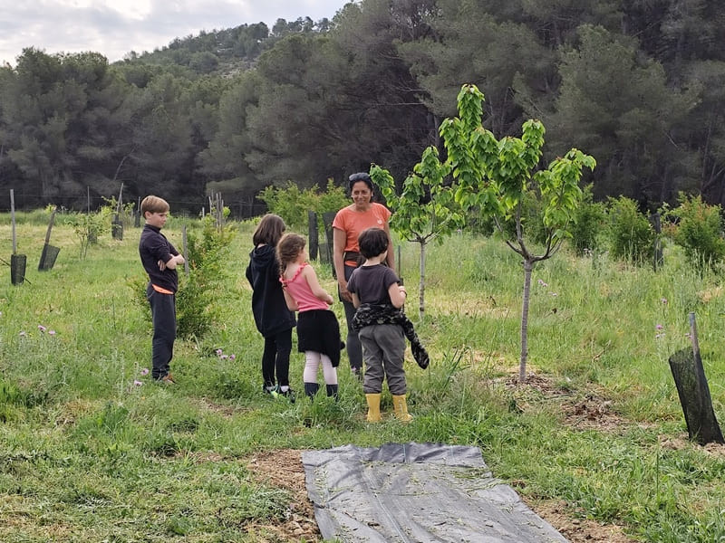 Descubra la agroforestería de Côté Grenades en Martigues. Visita, plantación, recolección de granadas y degustación para niños y adultos.