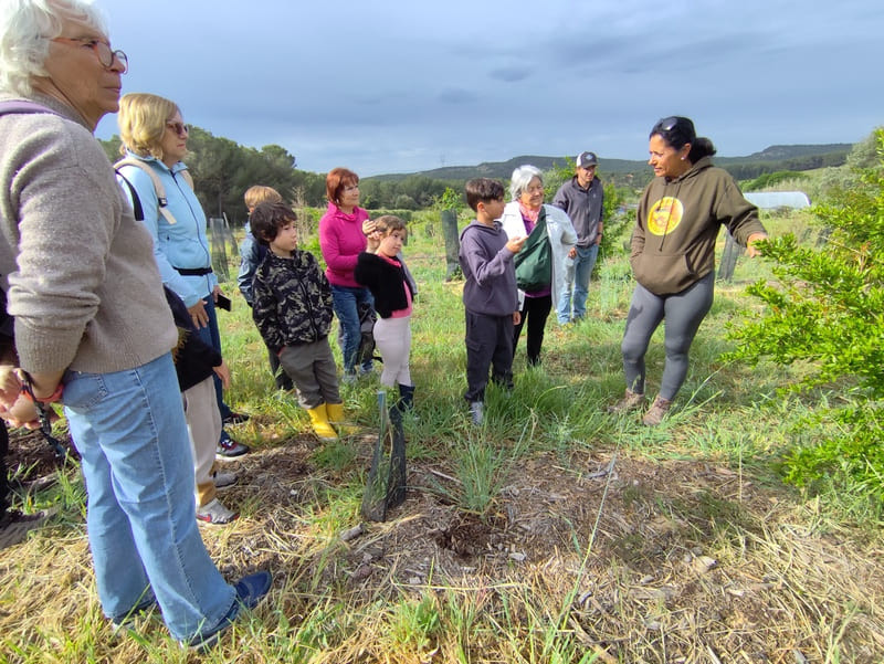 Participación en un taller de granadas con recolección y degustación para niños y familias. Reserva de talleres a través de la Oficina de Turismo de Martigues