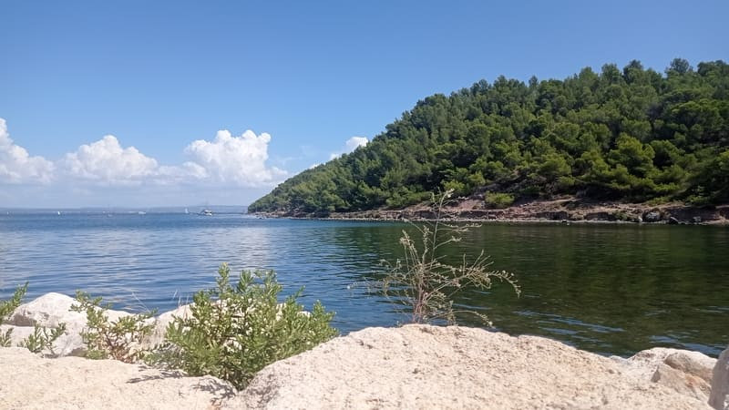 img-20220904-142943-521288