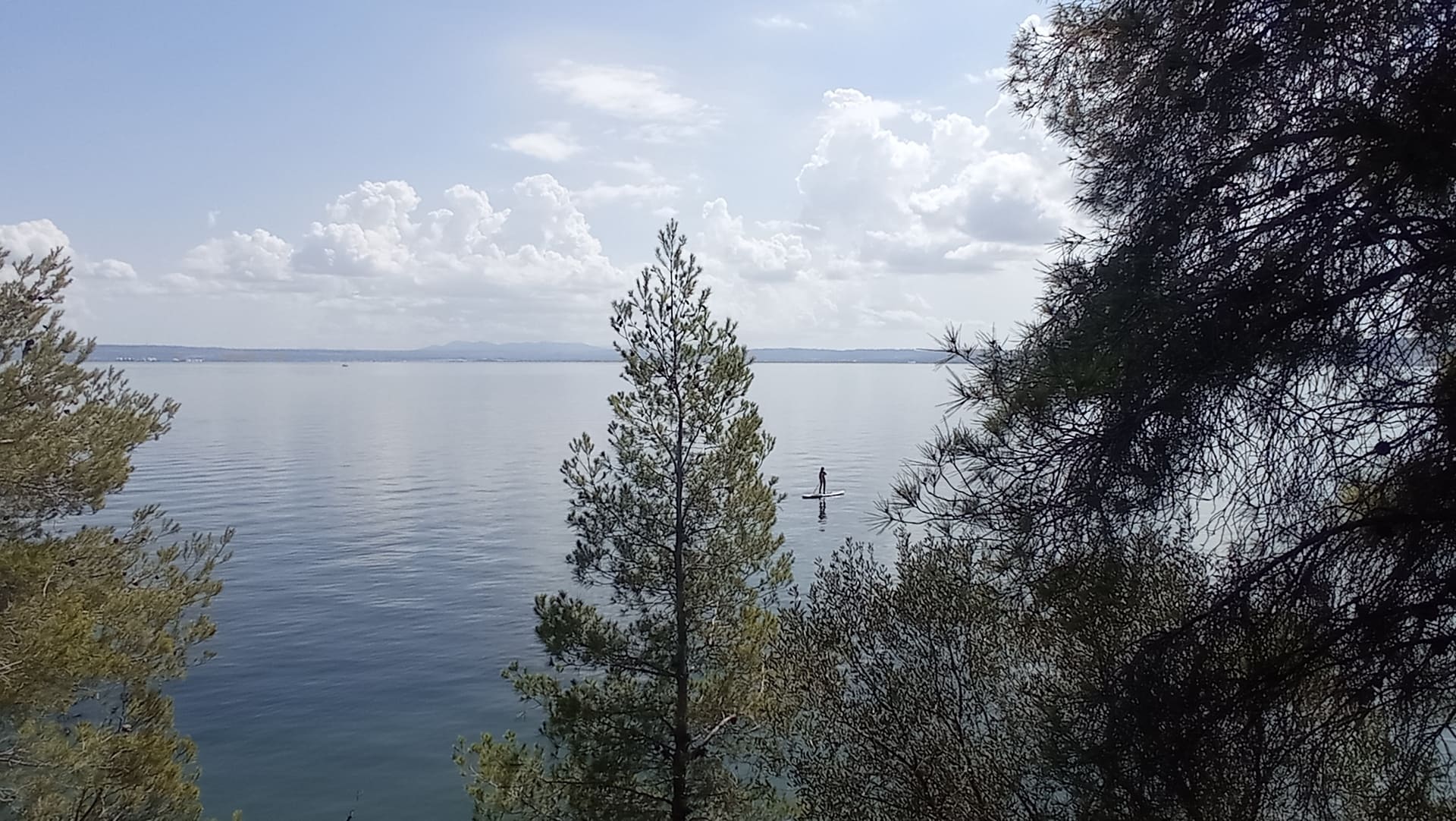 Paddle au milieu de l'étang de Berre parmi les arbres et nature verte à Martigues. Eau calme et apaisant pour une randonnée entre mer et étangs - © Otmartigues / MyriamF