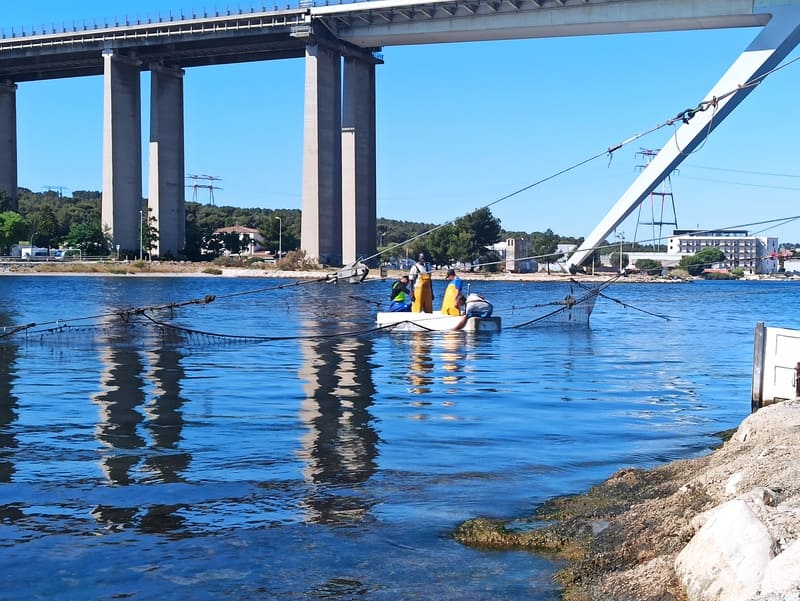 Fishermen haul in the net to collect the day's catch between the Mediterranean Sea and the Berre pond in Martigues. - © Otmartigues / KarimK