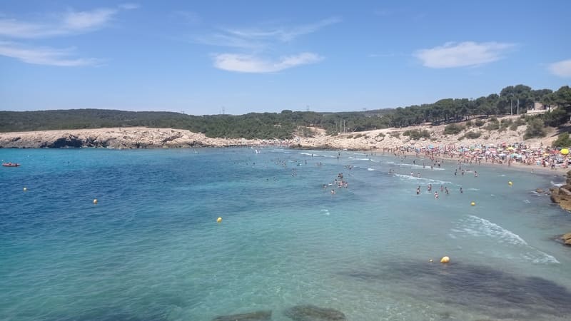 Panoramic view of Sainte-Croix Beach with turquoise water, cliffs of the Côte Bleue, and wild greenery. Swimmers in the water at Sainte-Croix Beach in Martigues - © Otmartigues / MyriamF