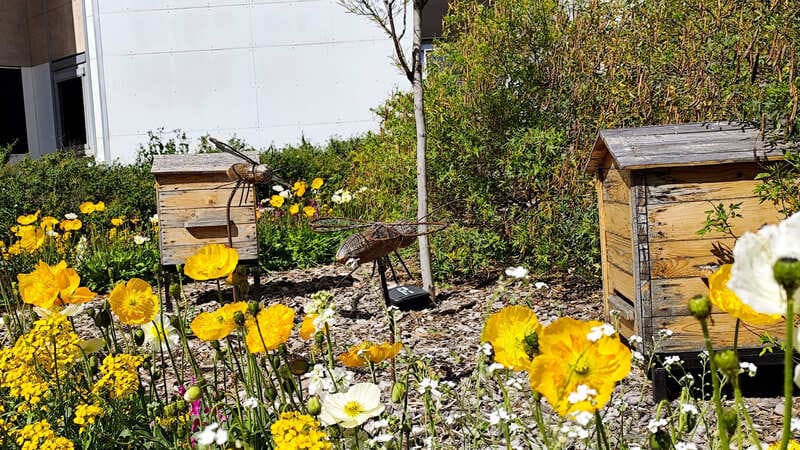 Ruches dans les jardins du centre-ville de Martigues pour découvrir des animations gratuites autour du développement durable. A vivre en couple ou en famille pour des journées ludiques où il est bon d'apprendre son environnement  - © Otmartigues / MyriamF