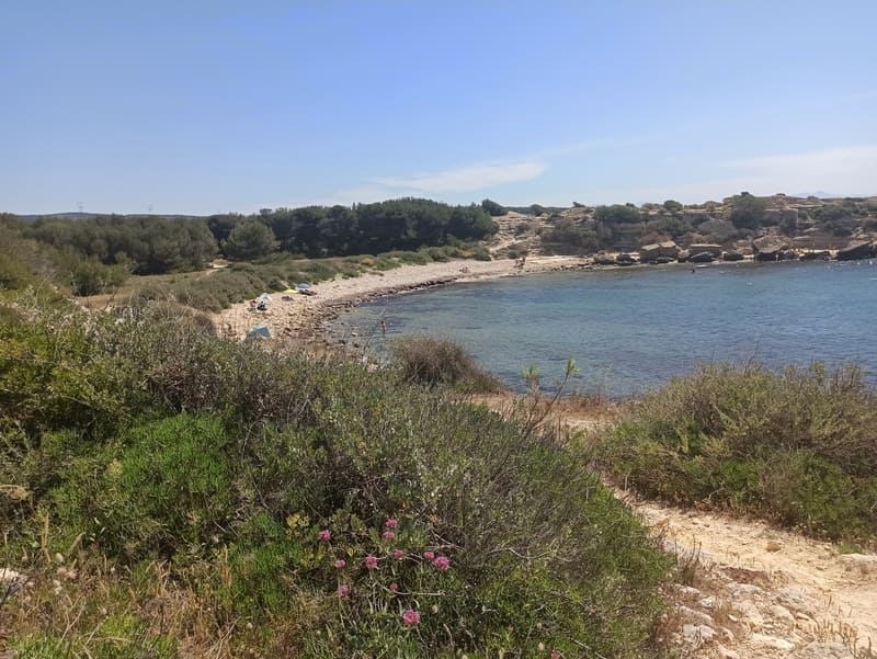 Vue dominante sur une plage sauvage et crique de la Côte Bleue. L'eau est transparente, le ciel sans nuage et le soleil aride. La végétation est dense et verte, en fleurs - © Otmartigues / KarimK