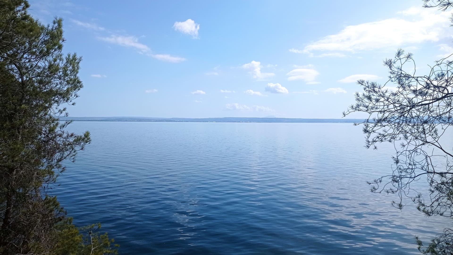 El cielo azul contrasta con el horizonte del estanque de Berre. Se ven ramas de árboles en primer plano. - © Otmartigues / MyriamF