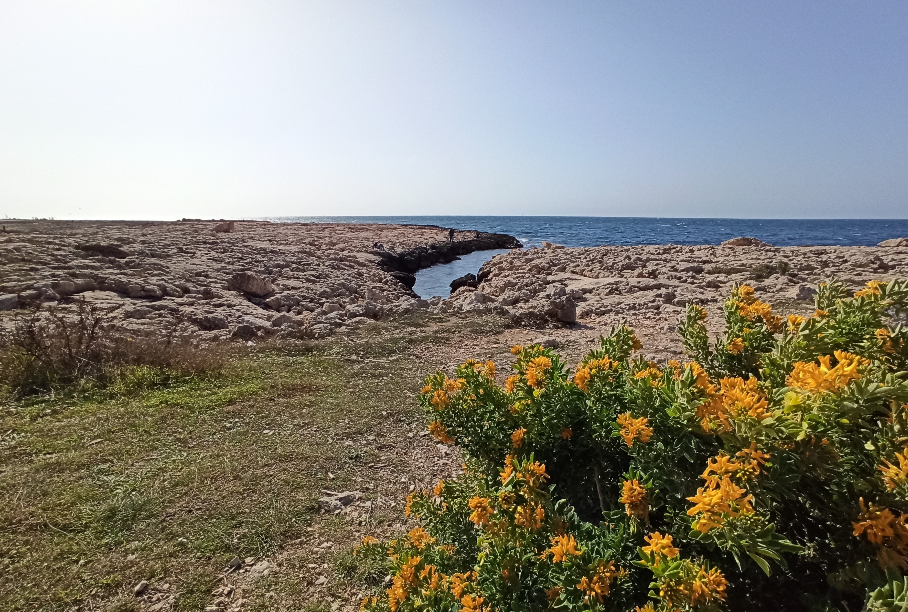 Vue panoramique sur les sentiers de la Côte Bleue - © Otmartigues / KarimK